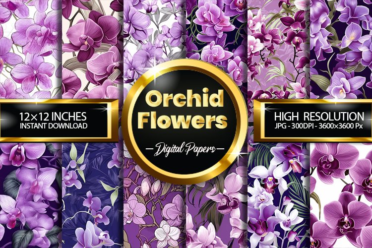 Orchid Clipart Image 21