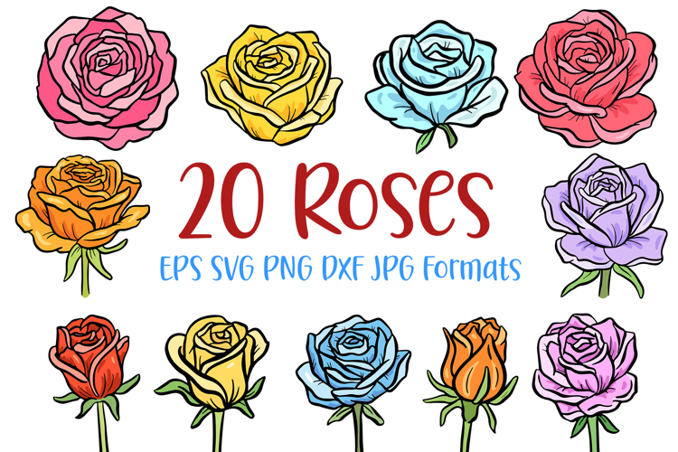 20 Rose Floral Wildflower Flower Illustration Clipart SVG