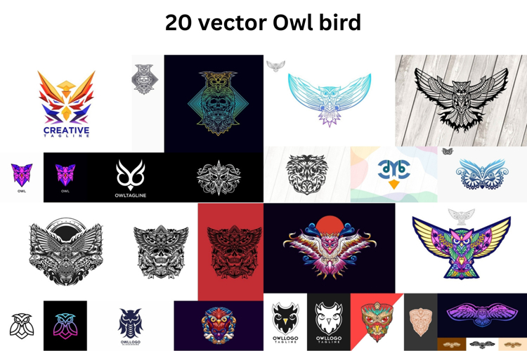 20 vector Design Owl example image 1