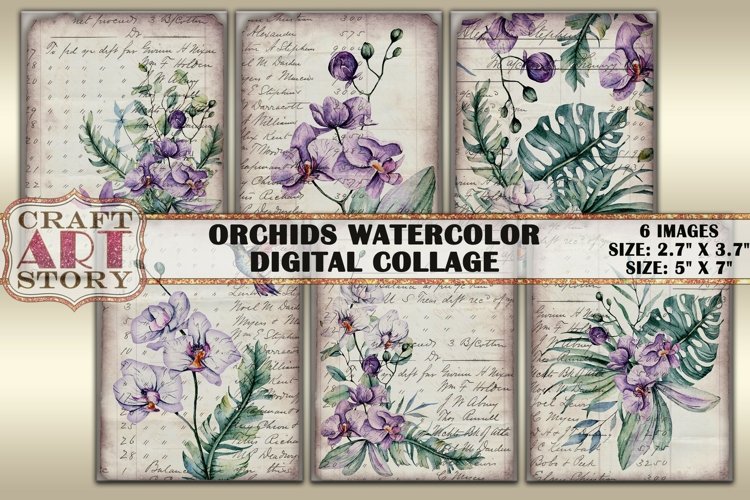 Orchid Clipart Image 9