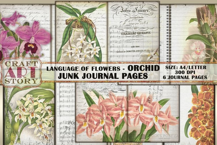 Orchid Clipart Image 4