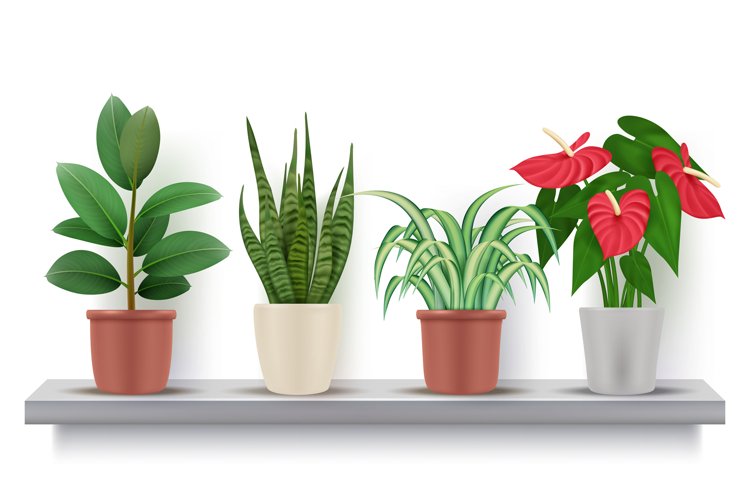Flower Vase Clipart Image 20