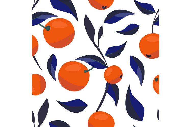 Oranges Clipart Image 24