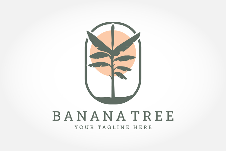 Palm Tree Silhouette Image 11