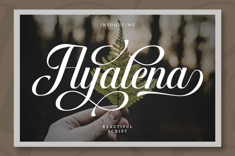 Ayalena example image 1