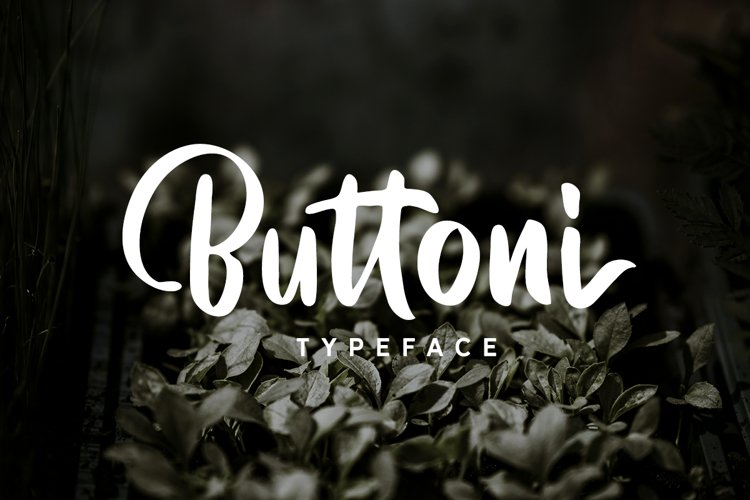Buttoni Typeface example image 1