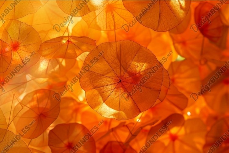 Light Textures Image 20