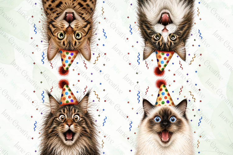 Surprise Birthday Cat PNG Clipart