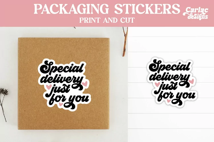 Packaging Stickers, Special Delivery just for You