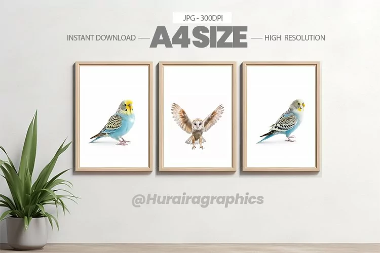 Bird Wall Art - 03 Variations