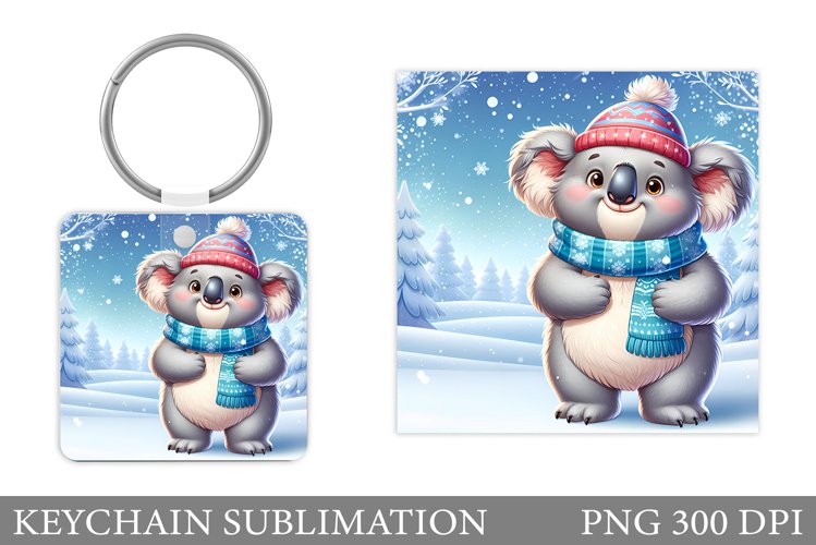 Cute Koala Pictures Image 5