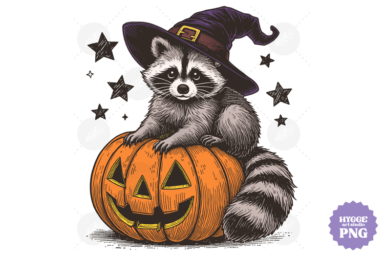 Vintage Funny Sarcastic Feral Witch Raccoon Halloween PNG
