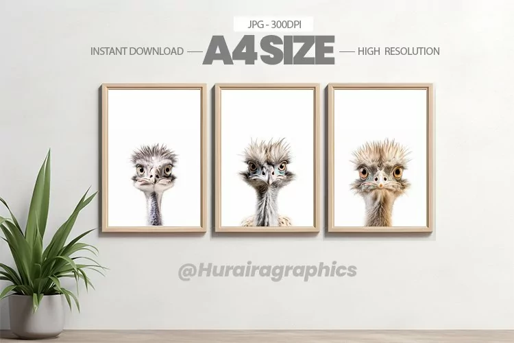 Animal Wall Art - 03 Variations