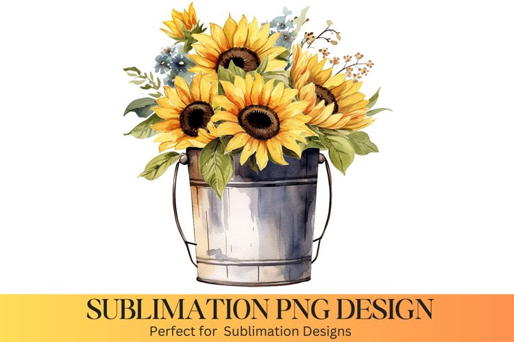 Sunflower PNG Image 6