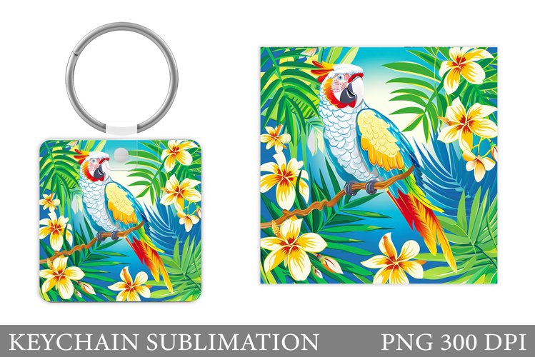 Parrot Clipart Image 8