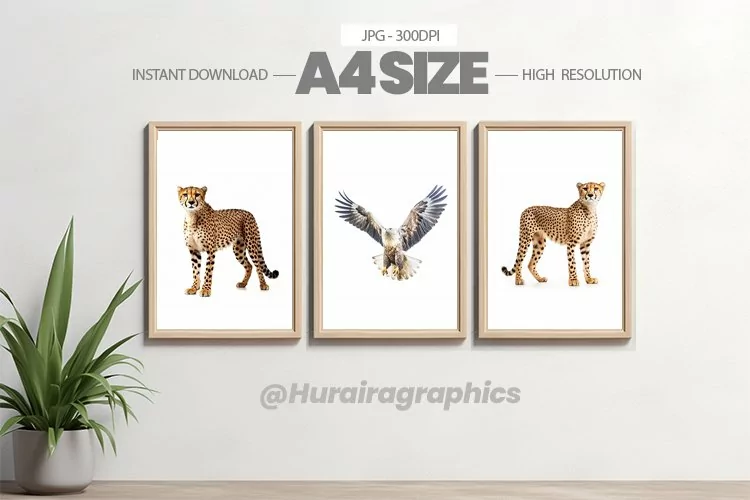 Animal Wall Art - 03 Variations