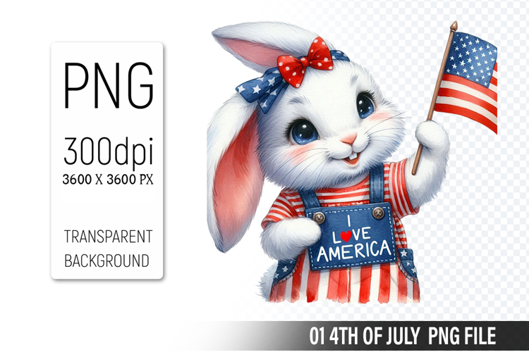 American Flag Png Image 24