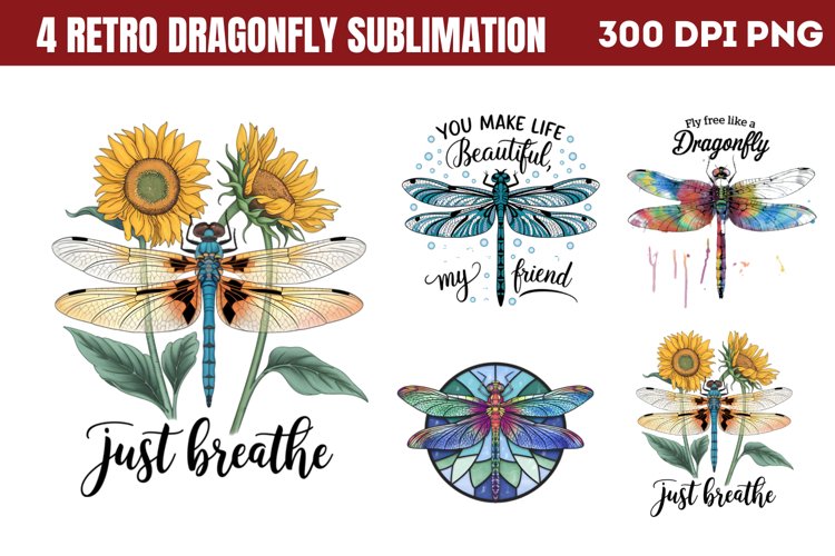 Dragonfly Png Image 4