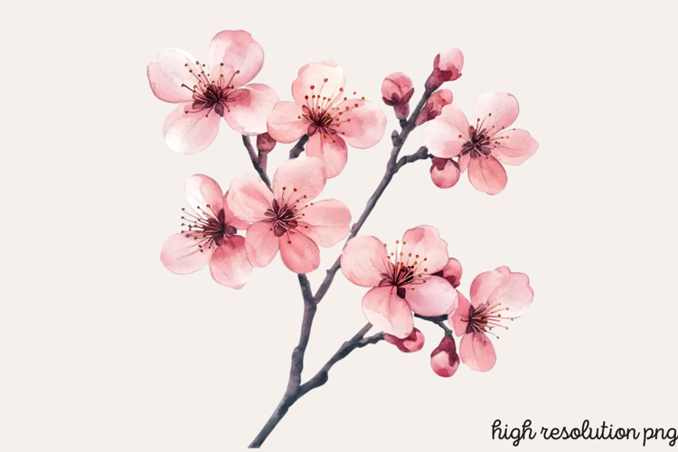 Boho SVG Image 23