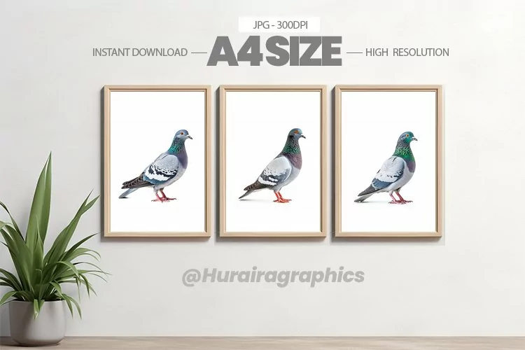 Bird Wall Art - 03 Variations