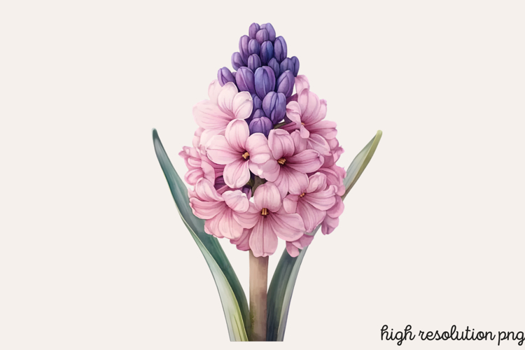 Blue Flower Clipart Image 14