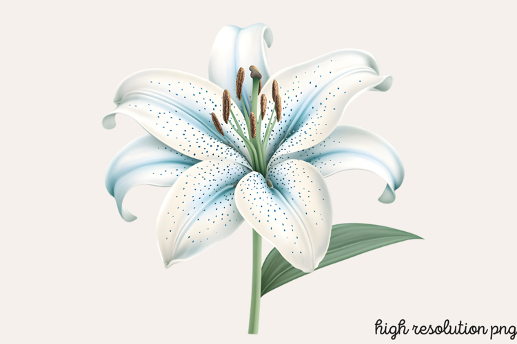 Easter Clipart Image 17