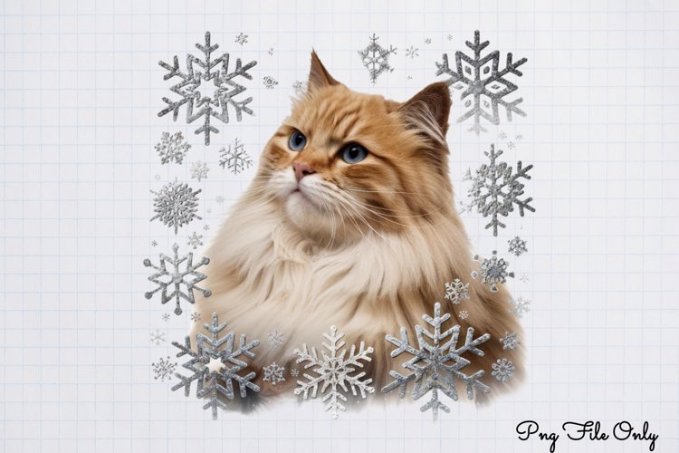 Boho Christmas Clipart Image 18