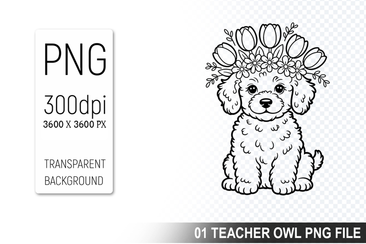 Pet Illustration Image 12