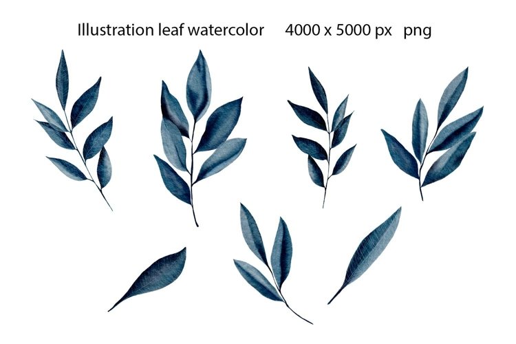 Illustration leaf watercolor