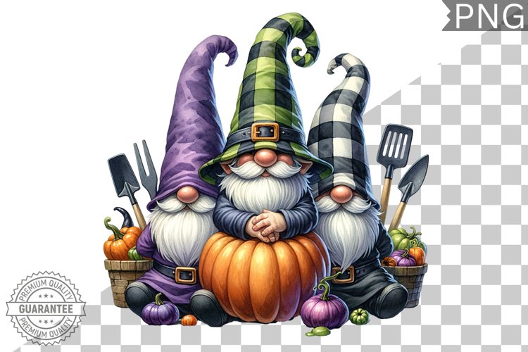 Gnome Clipart Image 17