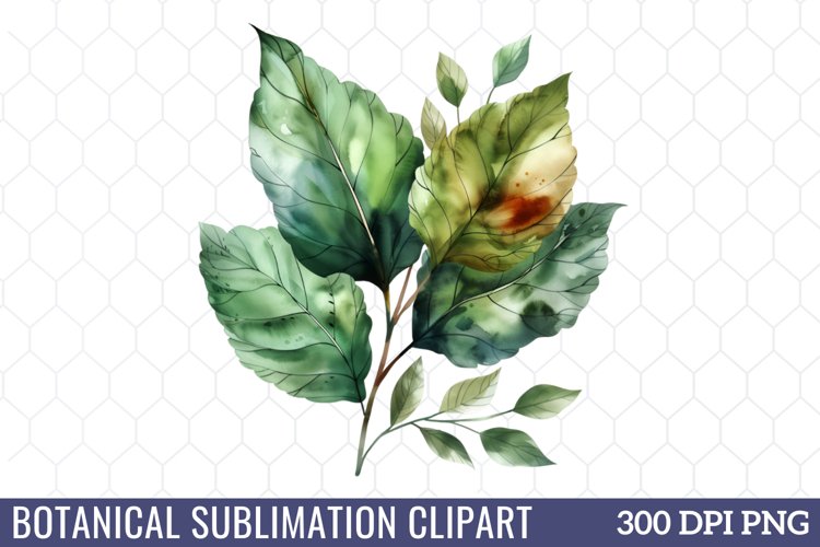 Flower Clipart Image 19