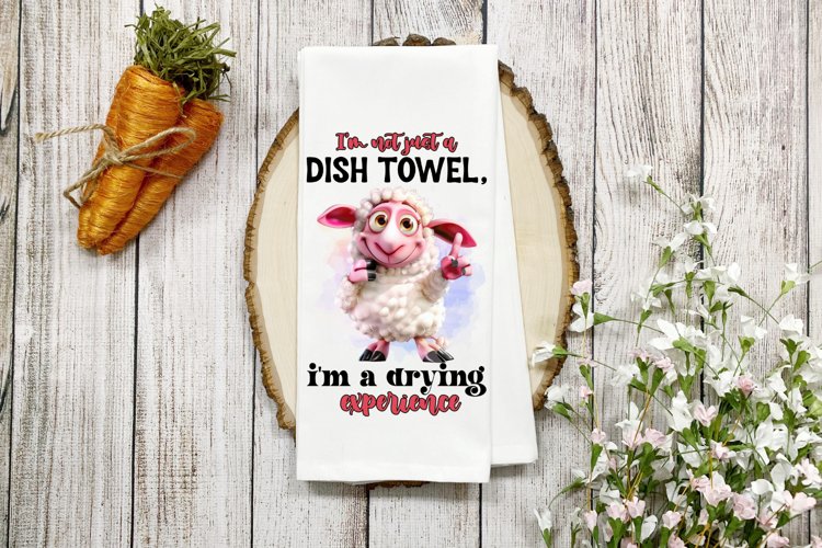 Im not just a dish towel, Im a drying experience PNG