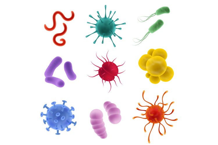Realistic types viruses. Microorganism shapes. Bacteria, ger