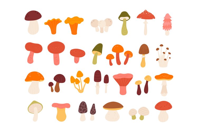 Mushroom Clipart Image 21