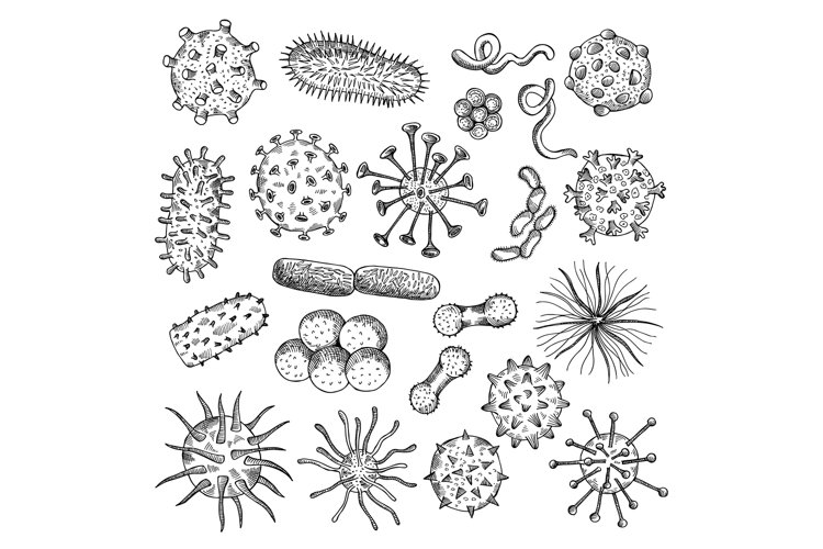 Bacteria Clipart Image 20