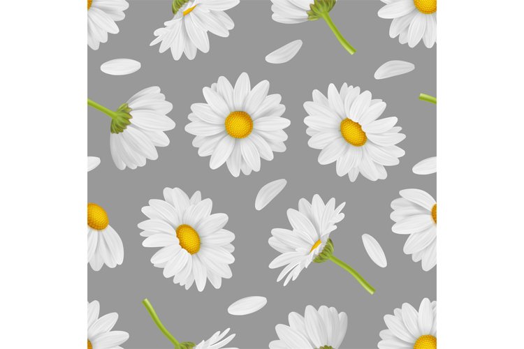 Spring Clipart Image 5