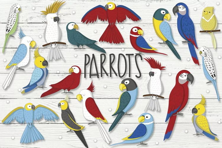 Parrots
