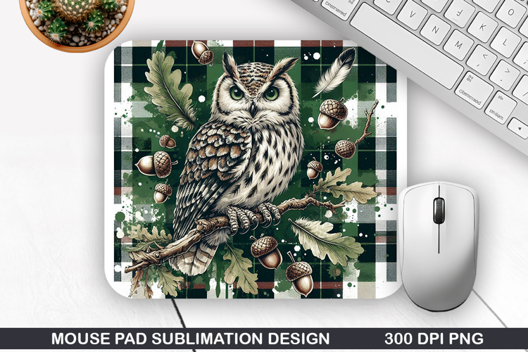 Owl Clipart Image 24