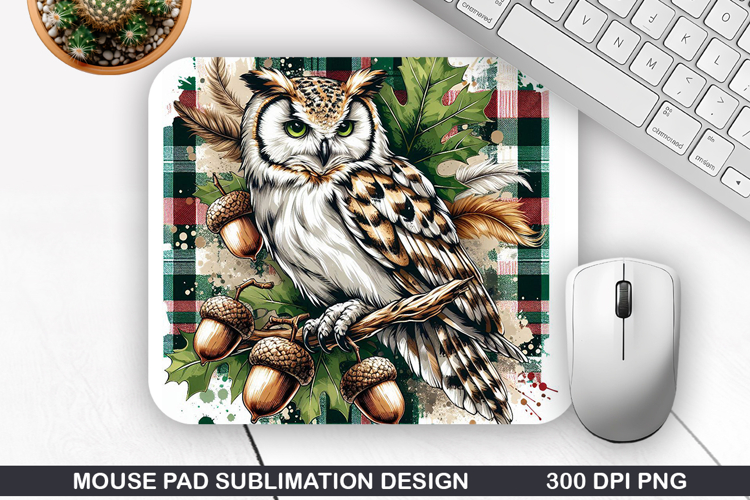 Owl Clipart Image 23