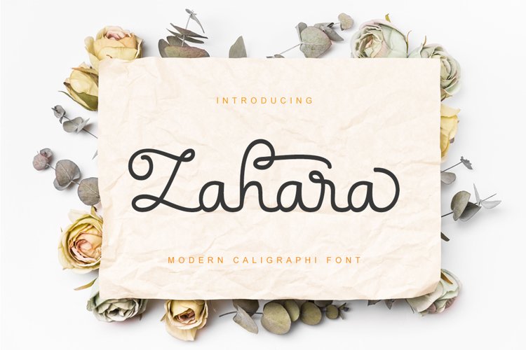Zahara example image 1