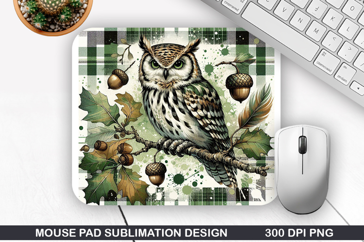 Owl Clipart Image 21