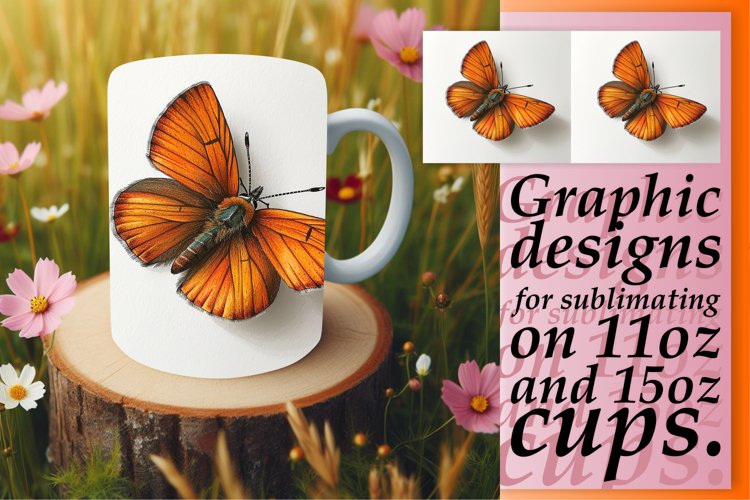 Butterfly Clipart Image 16