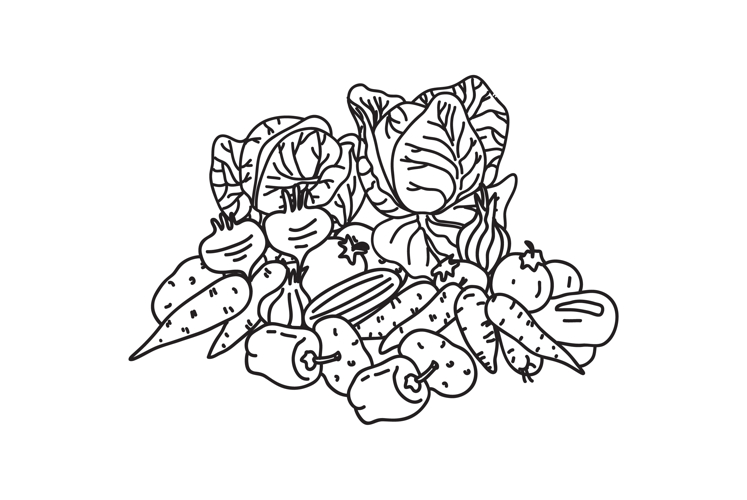 Set Line art botanical different vegetables isolated on whit
