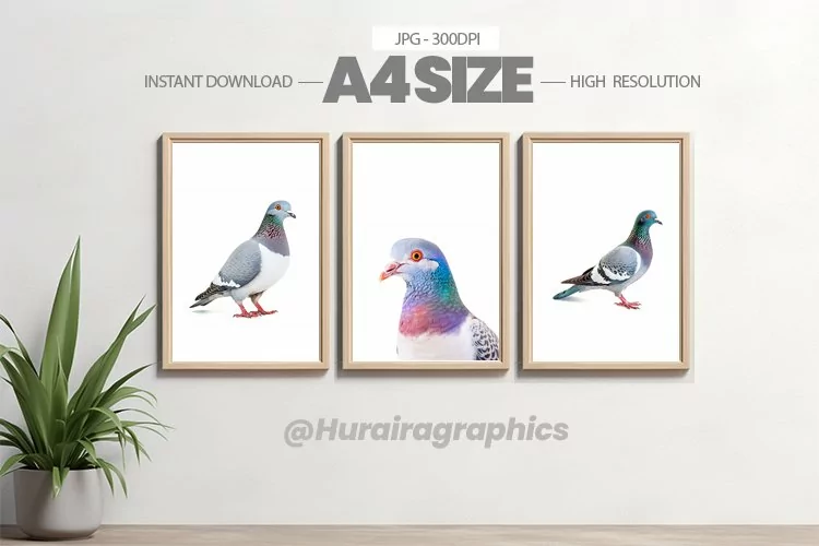 Bird Wall Art - 03 Variations