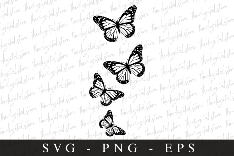 Buterfly SVG | SVG Cut files | Cricut