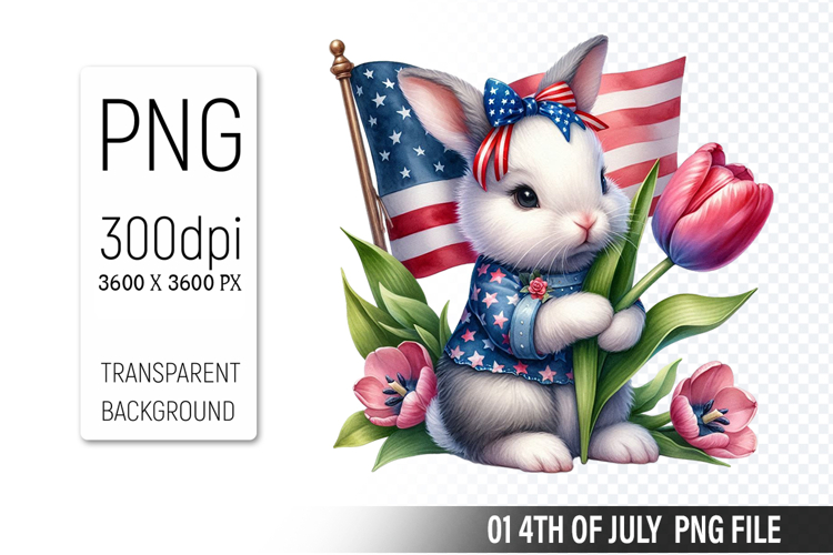 American Flag Png Image 23