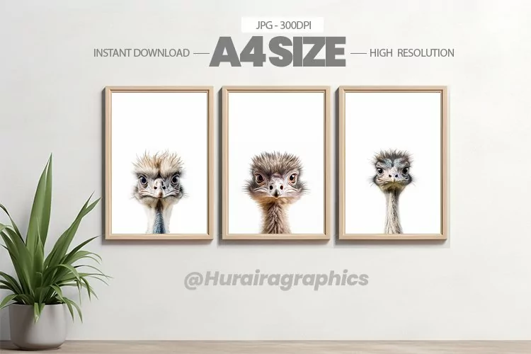 Animal Wall Art - 03 Variations