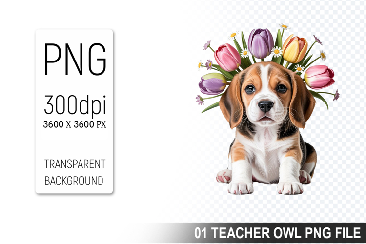 Pet Illustration Image 11
