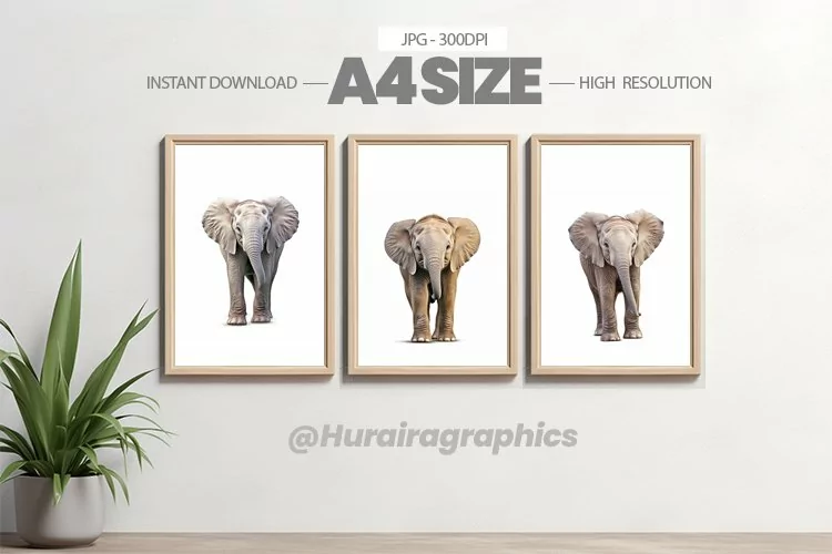 Safari Animal Wall Art - 03 Variations