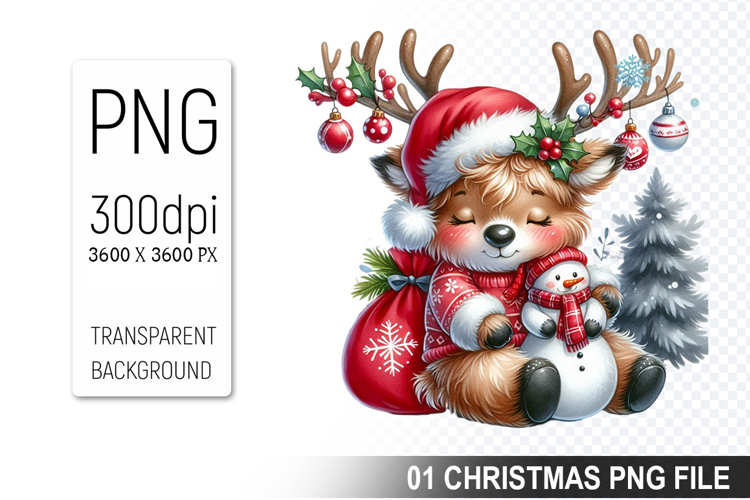 Weihnachtsmütze Png Image 3